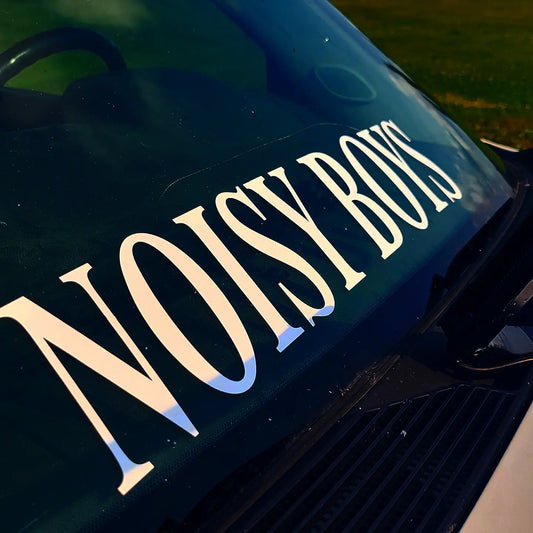 Noisy Boys Window Banner